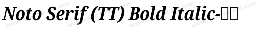 Noto Serif (TT) Bold Italic字体转换